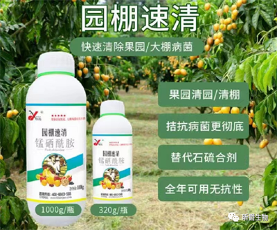 替代石硫合剂的清园产品昕爵园棚速清