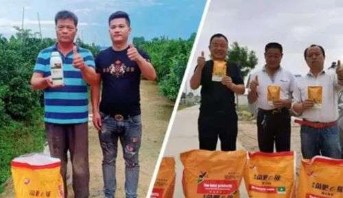 修复土壤就用生物菌肥昕爵菌肥e稼