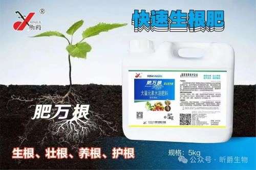 作物长得好全靠根、根长得好靠昕爵生根肥肥万根