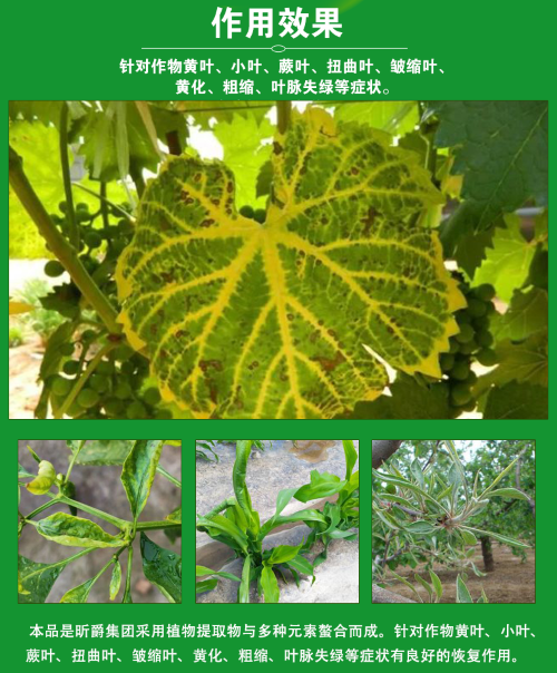 作物病毒病防治用昕爵新缉&middot;毒就对了