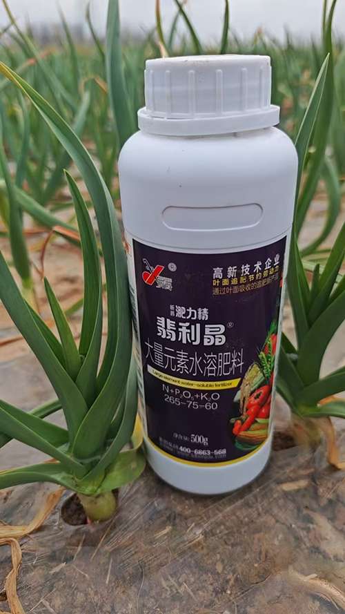 韭菜、大蒜、葱春天施返青肥就用昕爵翡利晶